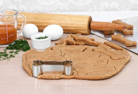 Gourmet dog treats