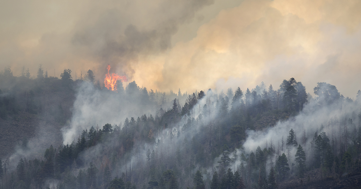 Get Ready for an Intense Wildfire Season in the Western U.S.